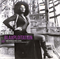 WANTED BLAXPLOITATION (180G LP)