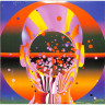 CONSCIOUSNESS AS A STATE OF MATTER (2LP, COLKOURED)
