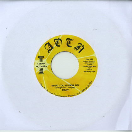 WHAT YOU GONNA (7 INCH)