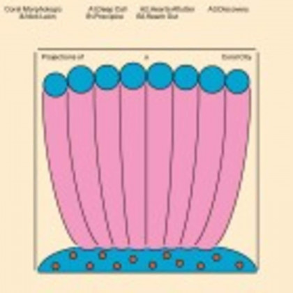 PROJECTIONS OF A CORAL CITY