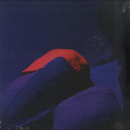 A RETROSPECTIVE (LP)