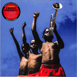 A BEAUTIFUL REVOLUTION (PT 1) (LTD.RED & BLUE SWIRL LP)