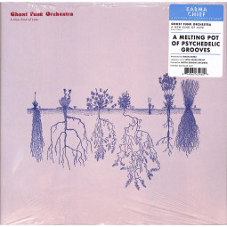 A NEW KIND OF LOVE (LP)