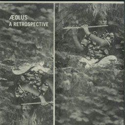 A RETROSPECTIVE (2X12 LP)