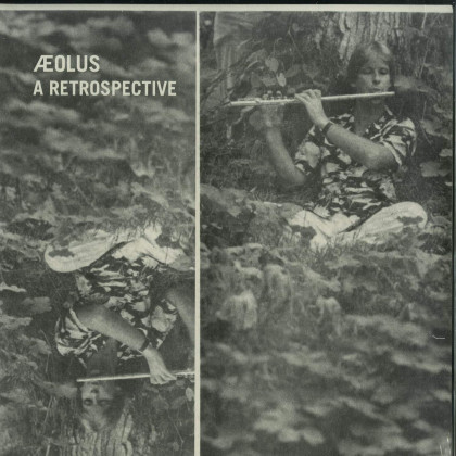 A RETROSPECTIVE (2X12 LP)