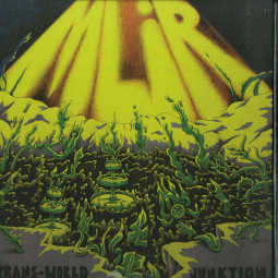 TRANS-WORLD JUNKTION