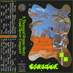 A THOUSAND PROMO SHOTZ COULD NEVER COMPARE (TAPE / CASSETTE)