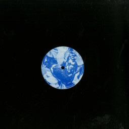 WARNING PARROTS / LOFTY PRINCIPLE (VINYL ONLY)