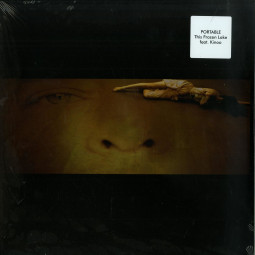 THIS FROZEN LAKE (SHACKLETON, BODYCODE RMX)
