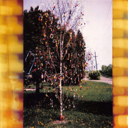 A GOLDEN BRAIN (LP + MP3)