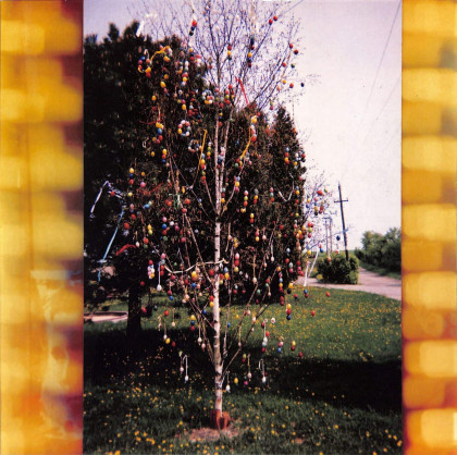 A GOLDEN BRAIN (LP + MP3)