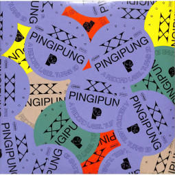 XX PINGIPUNG A RECORD LABEL TURNS 20 (2x10 INCH)