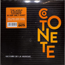 VICTOIRE DE LA MUSIQUE (180GR. / DELUXE TIP-ON-GATEF (2LP)