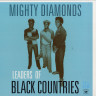 LEADERS OF BLACK (LP)