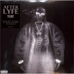 AFTERLYFE (TRANSLUCENT BLACK ICE 2LP)