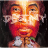 DESTINY (LP)