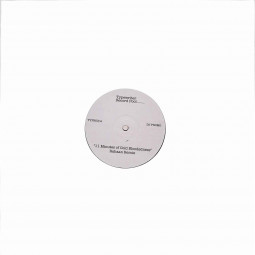 11 MINUTES (2LP)