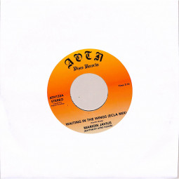 WAITING IN THE WINGS (7 INCH)