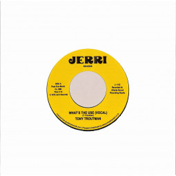 WHATS THE USE? / INSTRUMENTAL (7 INCH)