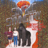 SORRY! WE DID SOMETHING WRONG (LP)