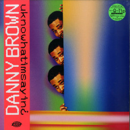 UKNOWHATIMSAYIN (LP + MP3)
