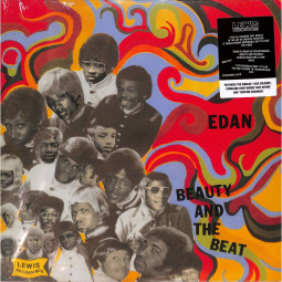 BEAUTY AND THE BEAT (LP)