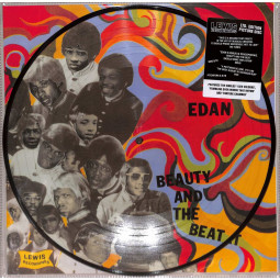 BEAUTY AND THE BEAT (PICTURE LP)