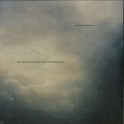 YOU ONLY NEED TO KNOW HOW IT FEELS TO BELIEVE (LP)