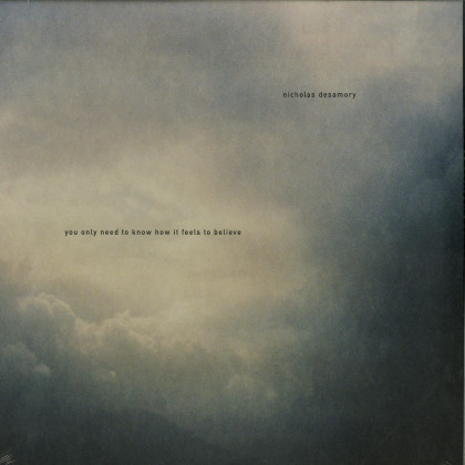 YOU ONLY NEED TO KNOW HOW IT FEELS TO BELIEVE (LP)