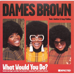 WHAT WOULD YOU DO (REMIXES)