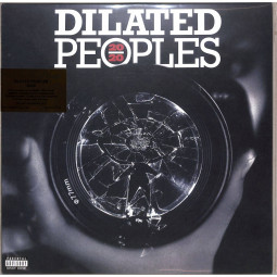 20 / 20 (2LP)